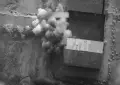 US strikes Iran as Tehran hits targets in three Gulf states
