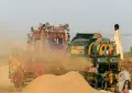 Private importers oppose government wheat import plan, warn of higher prices