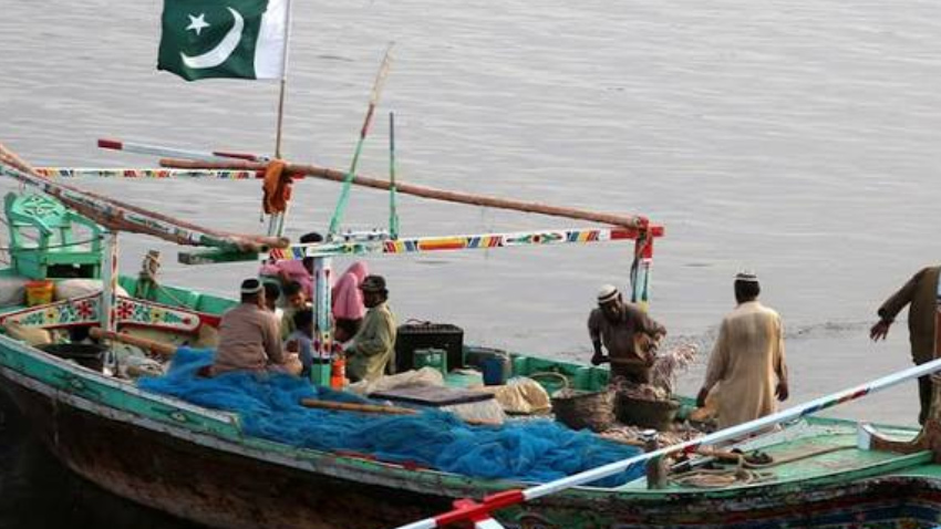 The Sindh Livestock and Fisheries Department has issued an emergency alert. File photo