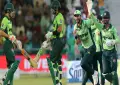 Pakistan beat Australia 2-1 as bowlers and batters shine in series decider