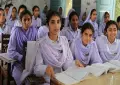 Online college admission applications now open for students