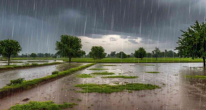 NDMA flood alert