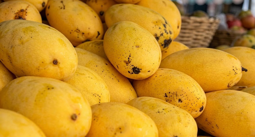 Family falls sick after eating mangoes, two young sisters lose their lives. File photo