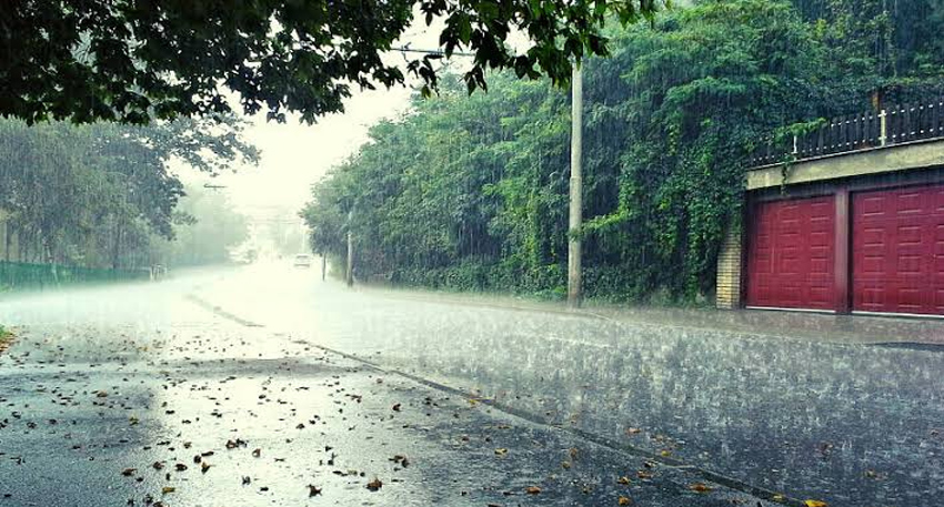 Heavy rain falling on a wet, paved road lined with lush green trees and a building with red doors.