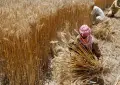 Farmers offered Rs300 billion interest-free loans under Budget 2026-27 scheme