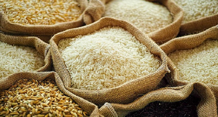 rice and wheat grain