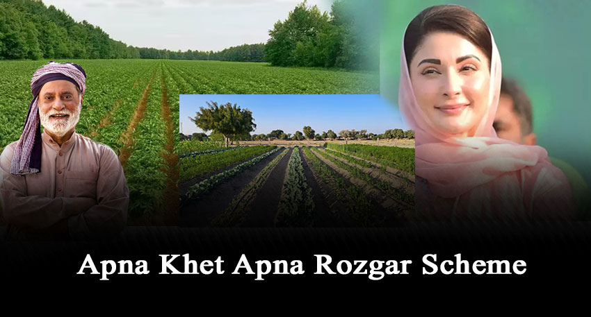Apna Khet Apna Rozgar scheme