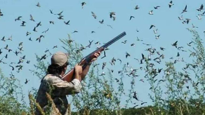 Punjab announces the migratory waterfowl hunting. File photo