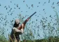 Punjab announces waterfowl hunting season from October 1