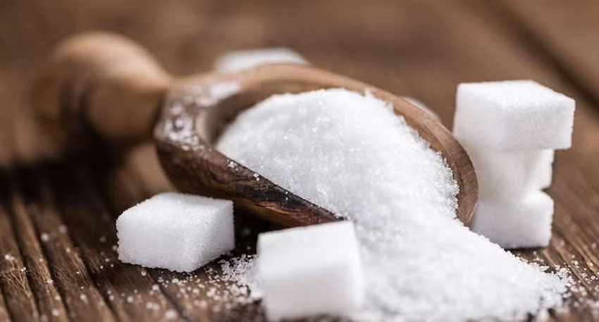 sugar export tender