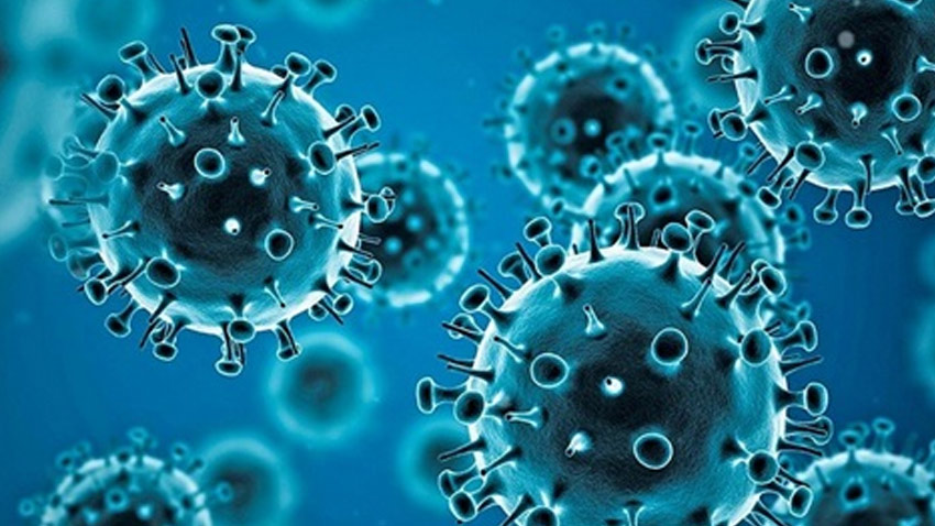 Punjab has issued a health alert over COVID-19 and seasonal flu. File photo