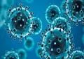 Punjab issues COVID-19, seasonal flu alert as hospitals prepare
