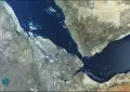 Houthi war widens as Pakistan, Turkiye back Riyadh