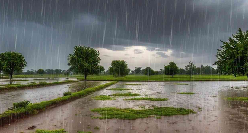 Heavy monsoon rain pouring down over flooded green fields and trees under a dark, stormy sky in Punjab.