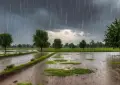 PDMA predicts rain in Lahore, Rawalpindi and more Punjab cities
