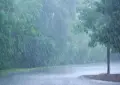 Rain and thunderstorms forecast in upper parts of Pakistan