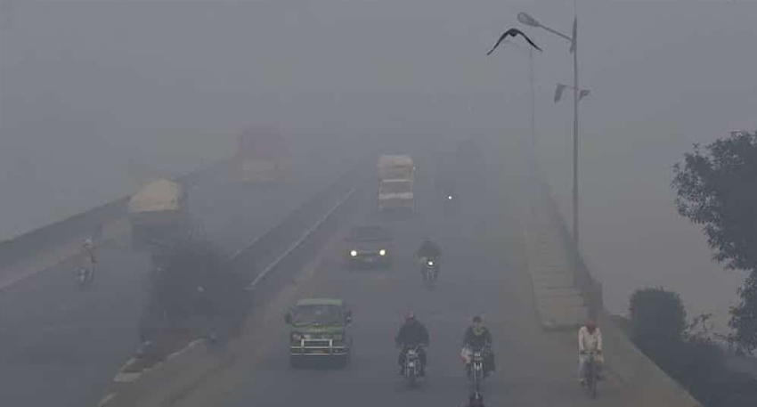 Vehicles driving on a foggy flyover with a bird flying above.