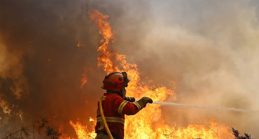 A firefighter spraying water onto a massive wildfire.