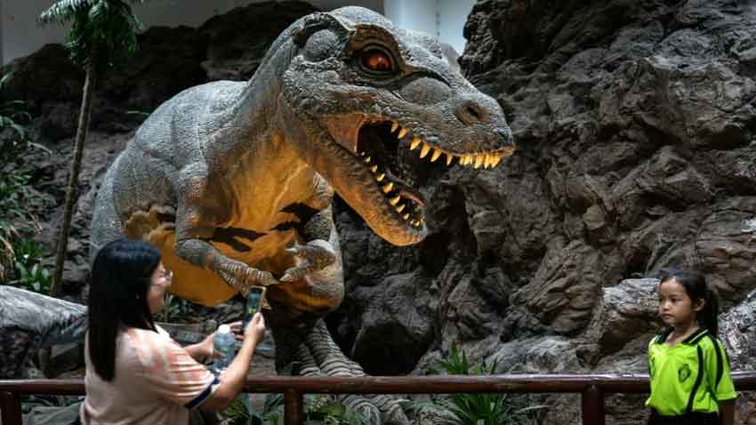 Researchers have found a trove of dinosaur fossils across Thailand offering insight into the creatures that roamed the planet millions of years ago. Yahoo