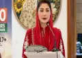 Punjab sees 70pc drop in crime rate, says Maryam Nawaz