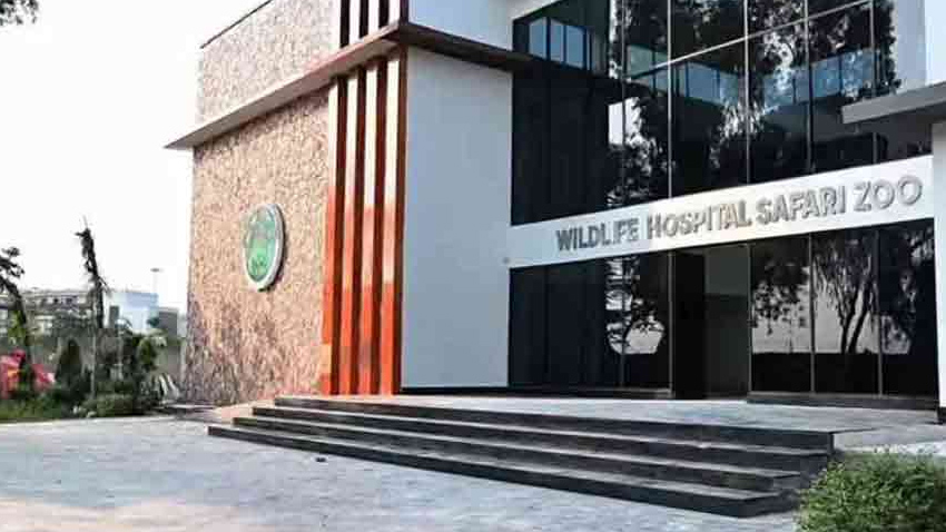 Punjab completes Pakistan’s first wildlife hospital. File photo