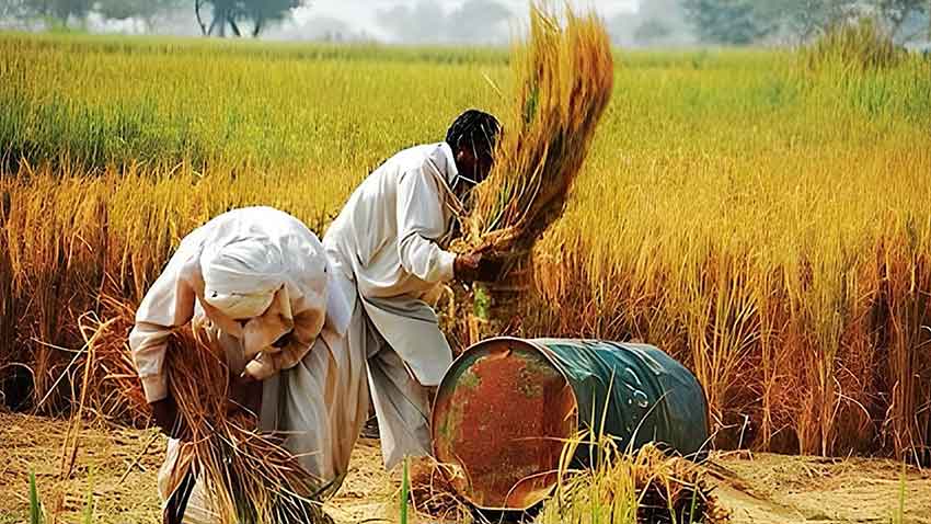 Record diesel prices put more pressure on US farmers during harvest. File photo