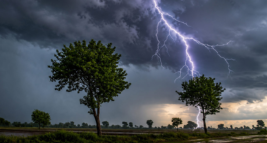 Lightning bolts strike down near green trees under a dark, stormy sky in a wide open rural field.